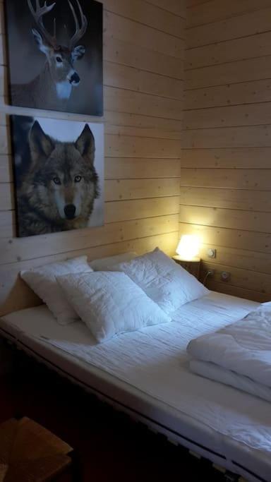 Chalet Le Brame En Cevennes Saint-Sauveur-Camprieu